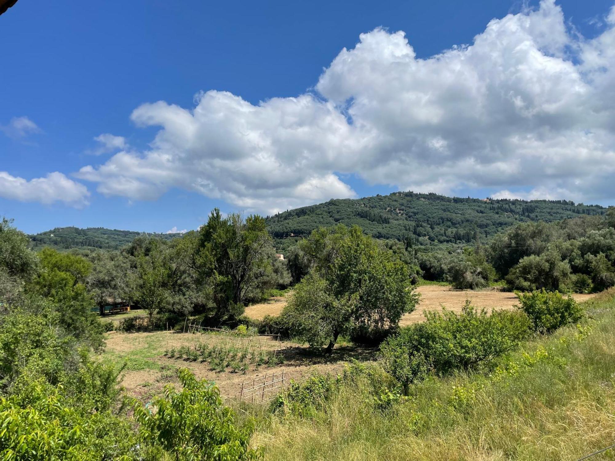 Katerina Daire Agios Georgios Pagon